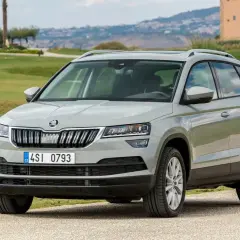 Szary Skoda Karoq na tle zielonych wzgórz. Wiele osób szuka skoda karoq opinie przed zakupem.