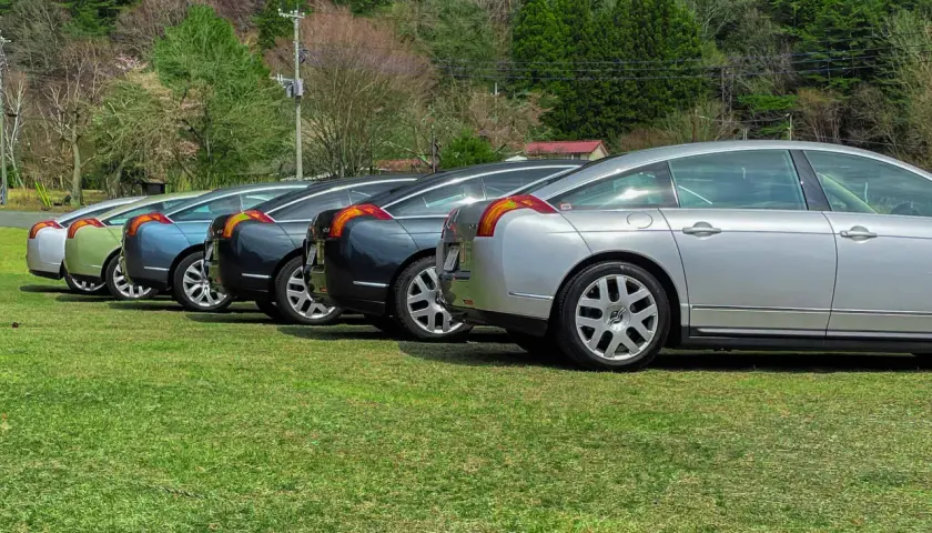 Rząd eleganckich samochodów Citroën C6 w różnych kolorach, zaparkowanych na trawie, z lasem w tle.