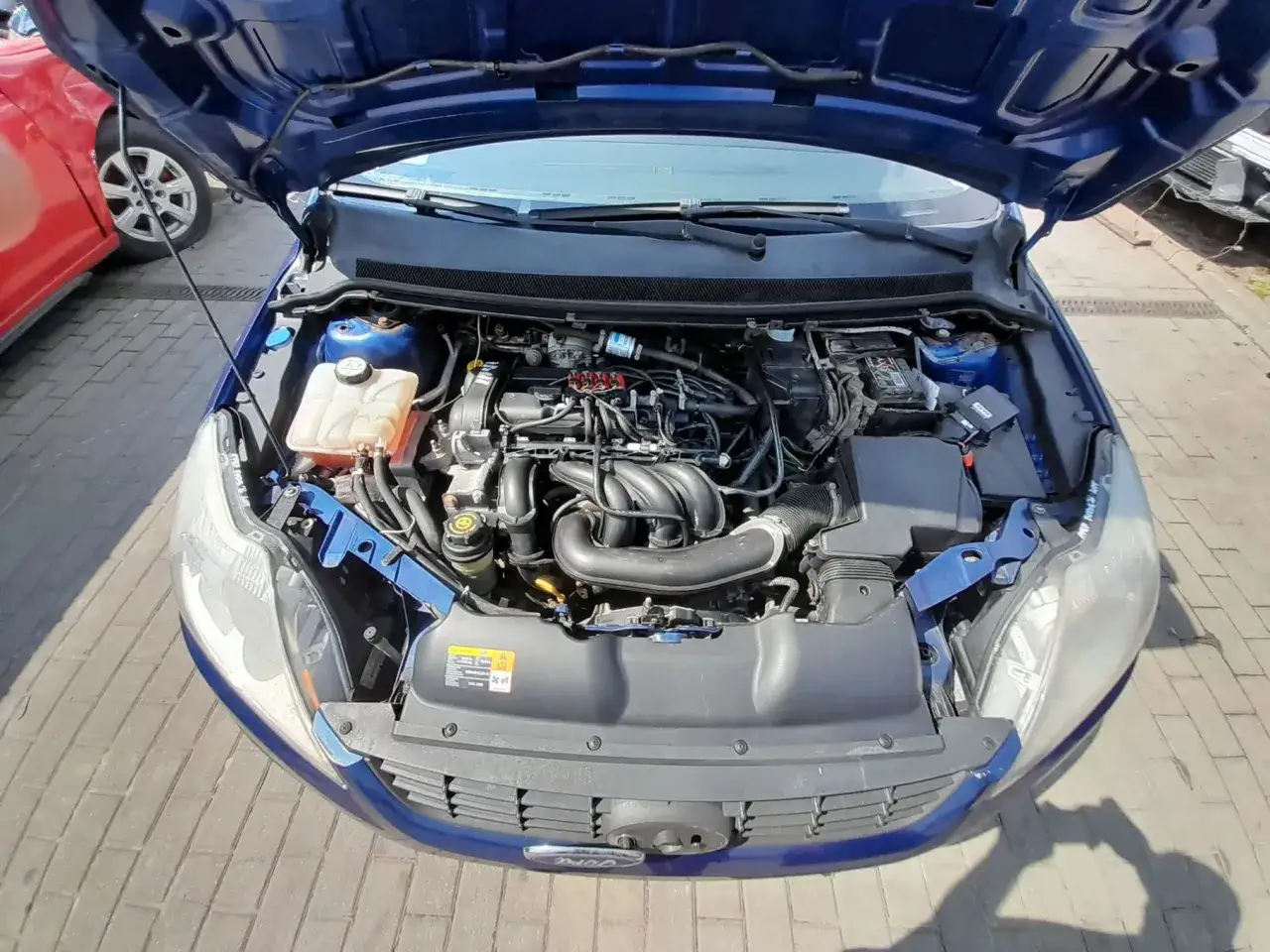 Silnik benzynowy 1.6 w Fordzie Focusie MK2. Widok komory silnika z otwartą maską.